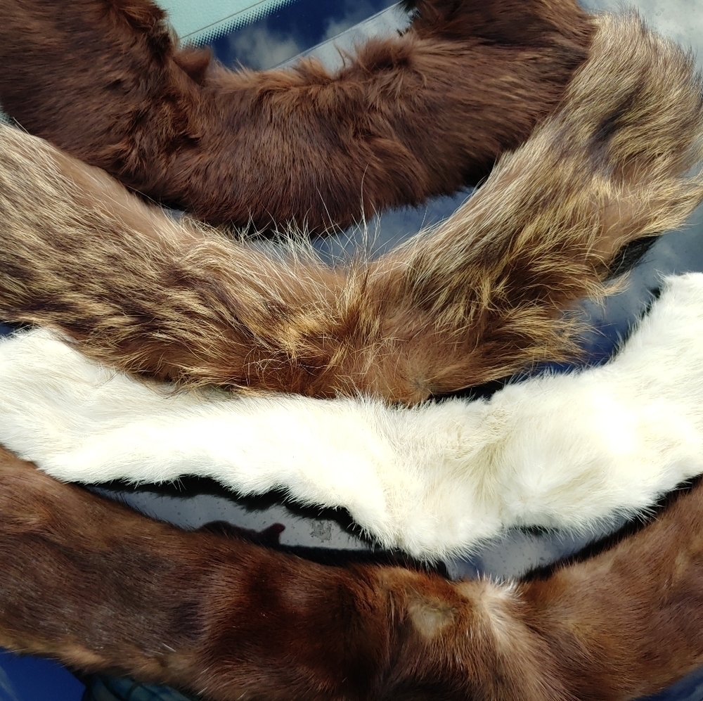 GENUINE VINTAGE FUR COLLARS. ALL WITH BACK LINING. MEASURING FROM 15" - 18" LONG